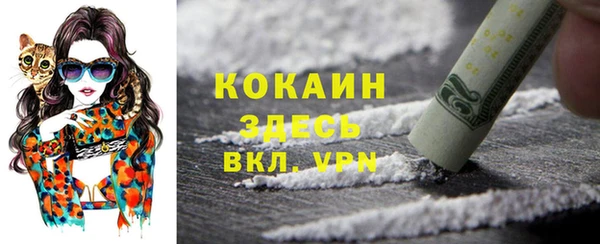 spice Абаза