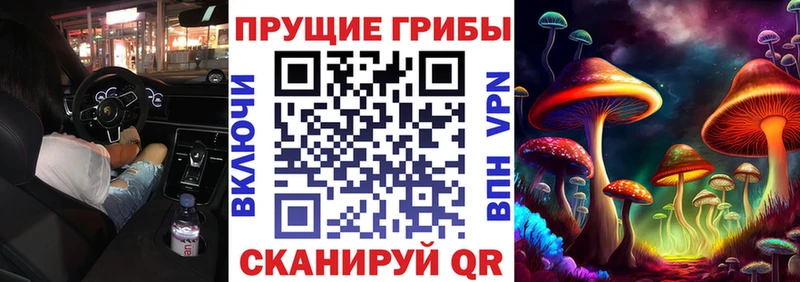 даркнет сайт  Арск  Галлюциногенные грибы Psilocybe 